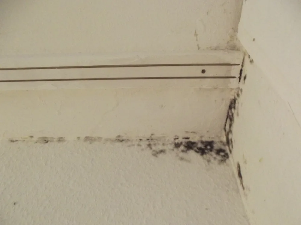 Technician in protective gear removing a mold-damaged wall in an Anza home